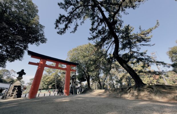 Morning walks in Nara Park